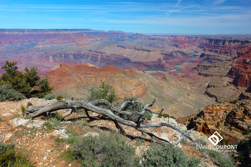 Parc national du Grand Canyon ©