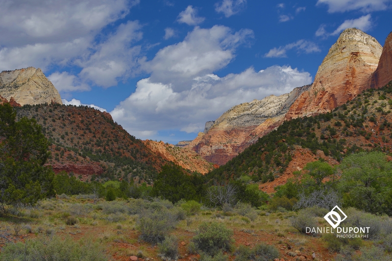 Parc national de Zion ©