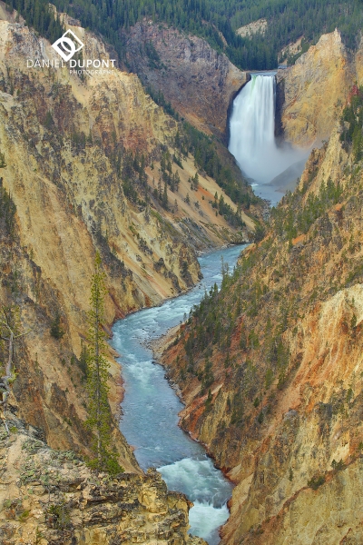 Parc national de Yellowstone ©